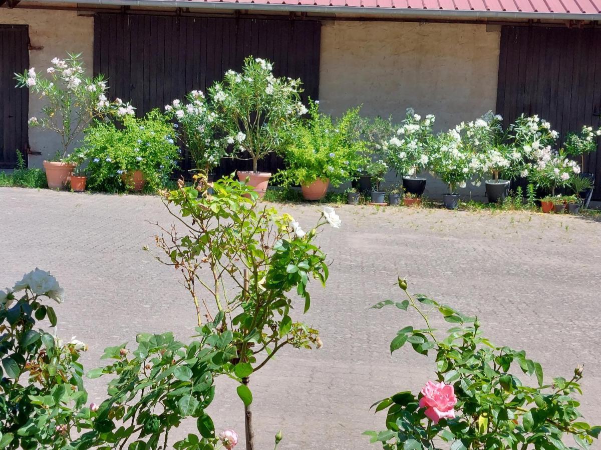 Appartamento Landpartie Freckenfeld Esterno foto