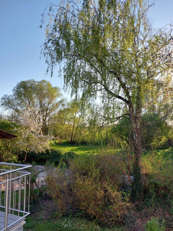 Appartamento Landpartie Freckenfeld Esterno foto