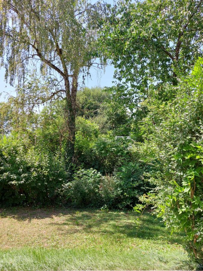 Appartamento Landpartie Freckenfeld Esterno foto